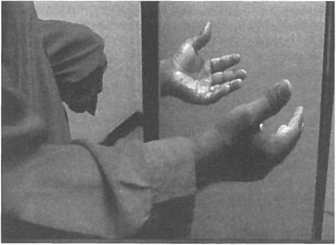 Иллюстрация к книге — Мозг рассказывает. Что делает нас людьми [i_007.jpg]