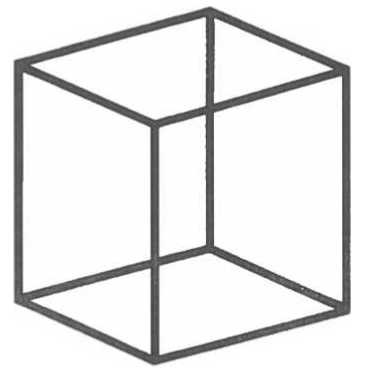 Иллюстрация к книге — Мозг рассказывает. Что делает нас людьми [i_008.jpg]