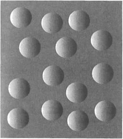 Иллюстрация к книге — Мозг рассказывает. Что делает нас людьми [i_010.jpg]