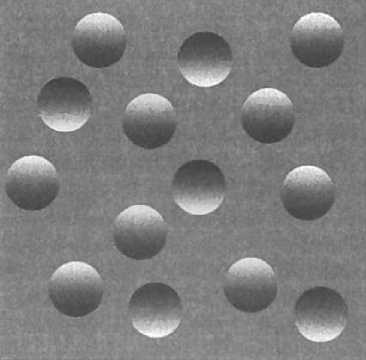 Иллюстрация к книге — Мозг рассказывает. Что делает нас людьми [i_012.jpg]