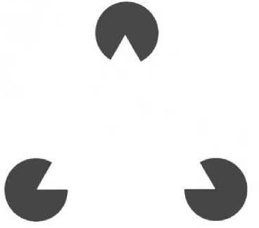 Иллюстрация к книге — Мозг рассказывает. Что делает нас людьми [i_039.jpg]