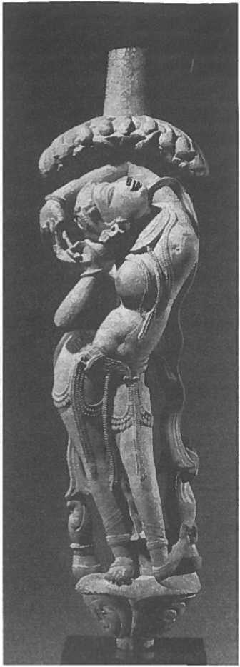 Иллюстрация к книге — Мозг рассказывает. Что делает нас людьми [i_040.jpg]