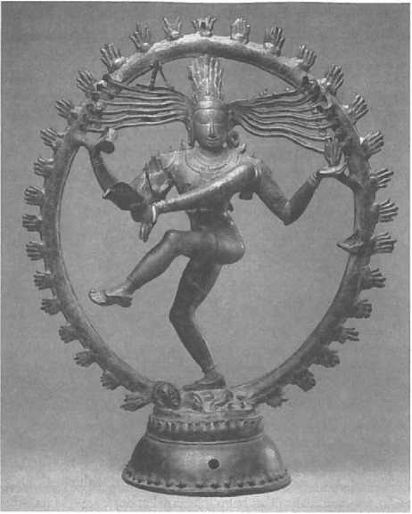 Иллюстрация к книге — Мозг рассказывает. Что делает нас людьми [i_041.jpg]