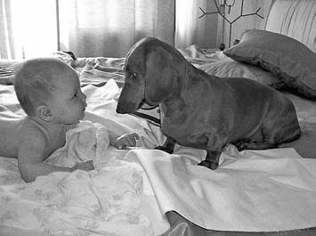 Иллюстрация к книге — Психология детского творчества [i_006.jpg]