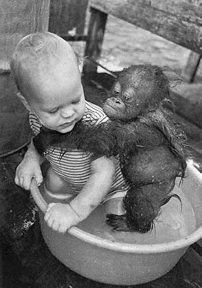 Иллюстрация к книге — Психология детского творчества [i_013.jpg]