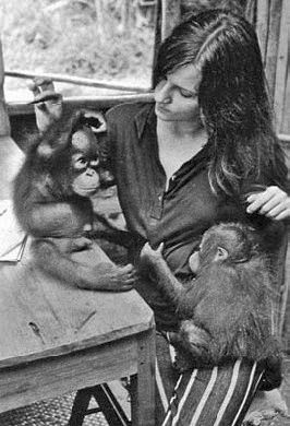 Иллюстрация к книге — Психология детского творчества [i_044.jpg]