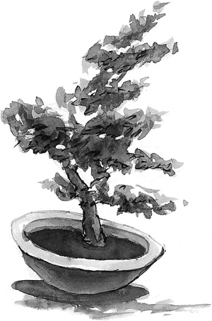 Иллюстрация к книге — Живи легко! [Autogen_eBook_id29.jpg]