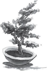 Иллюстрация к книге — Счастье в трудные времена [i_062.jpg]