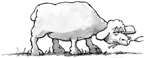 Иллюстрация к книге — Прорвемся! Как справиться с проблемами [Autogen_eBook_id35.jpg]