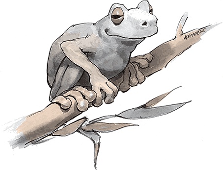 Иллюстрация к книге — Счастье. Краткий курс [Autogen_eBook_id43.jpg]