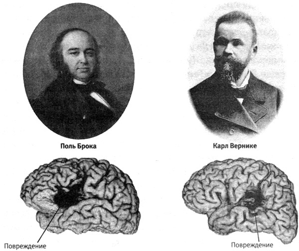 Иллюстрация к книге — В поисках памяти [i_032.jpg]