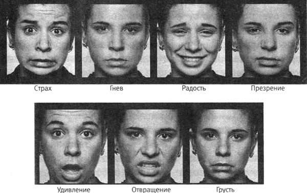 Иллюстрация к книге — В поисках памяти [i_074.jpg]