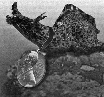 Иллюстрация к книге — В поисках памяти [i_076.jpg]