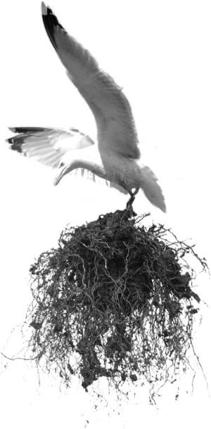 Иллюстрация к книге — Как научиться жить на полную мощность [_1.jpg]