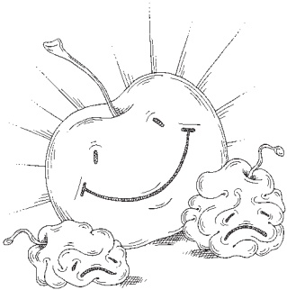 Иллюстрация к книге — Не дай себя обмануть! Язык жестов. О чем умолчал Пол Экман [_23.jpg]