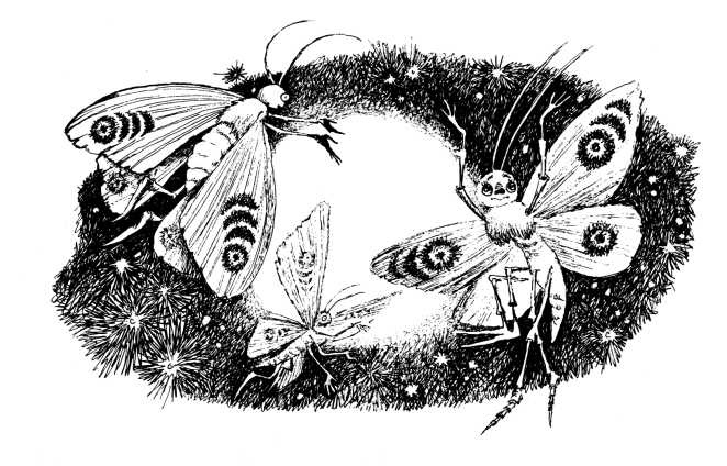 Иллюстрация к книге — Кукольный кораблик [i_017.jpg]