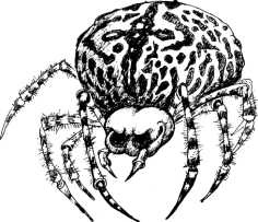 Иллюстрация к книге — Кукольный кораблик [i_028.jpg]