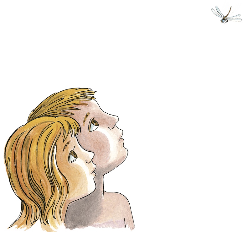 Иллюстрация к книге — Необыкновенные приключения Карика и Вали [i_016.jpg]