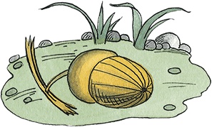 Иллюстрация к книге — Необыкновенные приключения Карика и Вали [i_018.jpg]