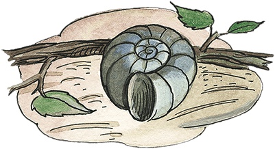 Иллюстрация к книге — Необыкновенные приключения Карика и Вали [i_024.jpg]