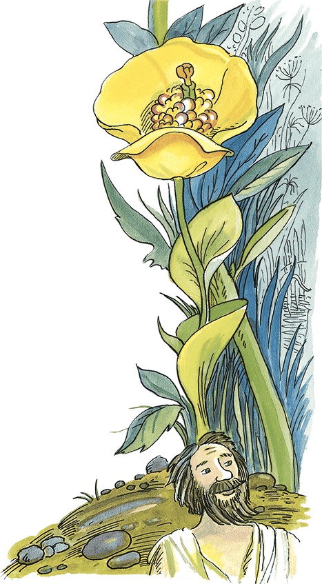 Иллюстрация к книге — Необыкновенные приключения Карика и Вали [i_026.jpg]