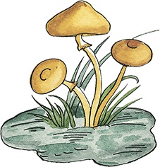 Иллюстрация к книге — Необыкновенные приключения Карика и Вали [i_050.jpg]