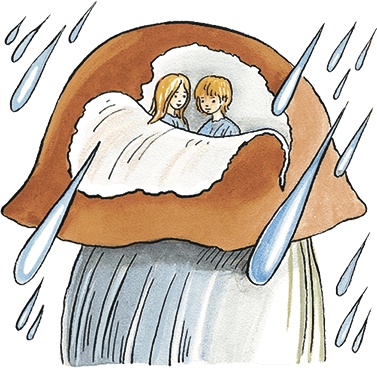 Иллюстрация к книге — Необыкновенные приключения Карика и Вали [i_061.jpg]