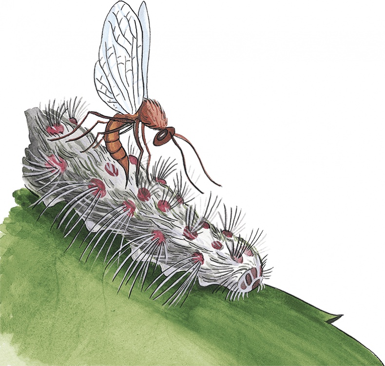 Иллюстрация к книге — Необыкновенные приключения Карика и Вали [i_077.jpg]