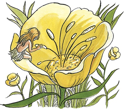 Иллюстрация к книге — Необыкновенные приключения Карика и Вали [i_081.jpg]