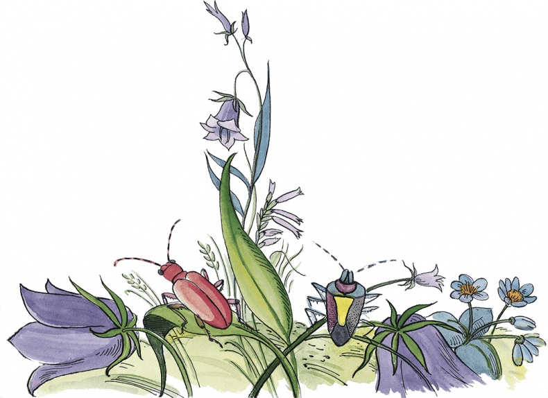 Иллюстрация к книге — Необыкновенные приключения Карика и Вали [i_086.jpg]