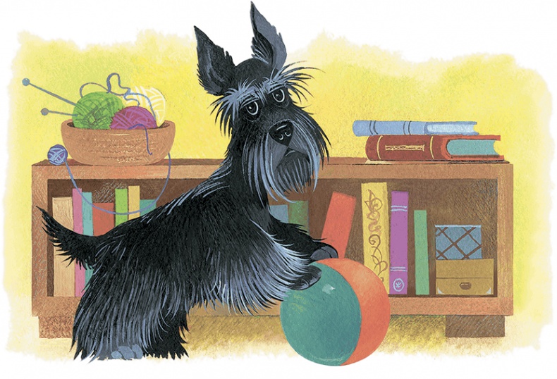 Иллюстрация к книге — Храбрый Тилли и другие истории [i_005.jpg]