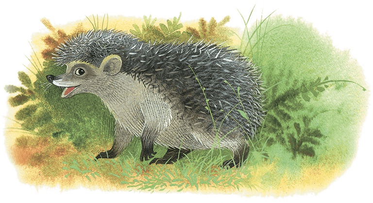 Иллюстрация к книге — Храбрый Тилли и другие истории [i_010.jpg]