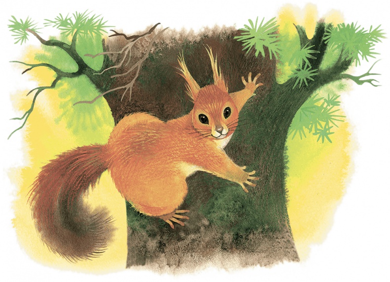 Иллюстрация к книге — Храбрый Тилли и другие истории [i_012.jpg]