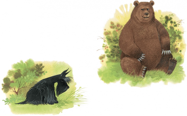 Иллюстрация к книге — Храбрый Тилли и другие истории [i_019.jpg]