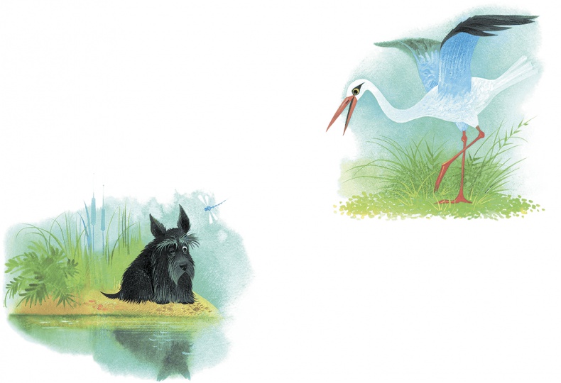 Иллюстрация к книге — Храбрый Тилли и другие истории [i_022.jpg]