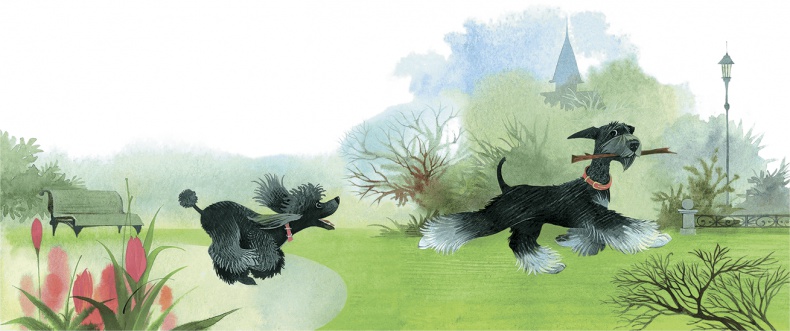 Иллюстрация к книге — Храбрый Тилли и другие истории [i_029.jpg]