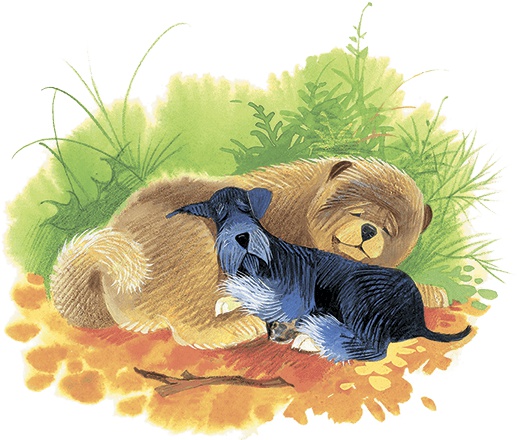 Иллюстрация к книге — Храбрый Тилли и другие истории [i_046.jpg]