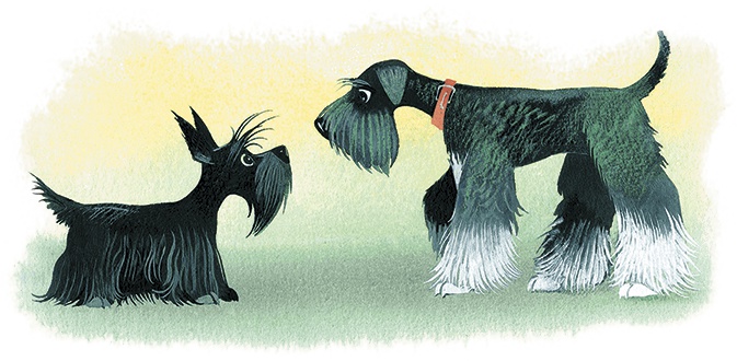 Иллюстрация к книге — Храбрый Тилли и другие истории [i_047.jpg]