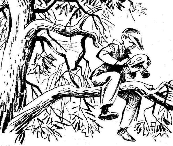 Иллюстрация к книге — Вовка Грушин и другие [i_004.jpg]