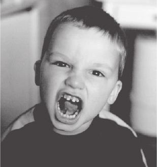 Иллюстрация к книге — Воспитание без крика и истерик. Простые решения сложных проблем [_07.jpg]