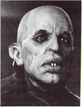 Иллюстрация к книге — Дракула. Тайны князя-вампира [i_019.jpg]