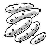 Иллюстрация к книге — Фитнес для ума [i_006.jpg]