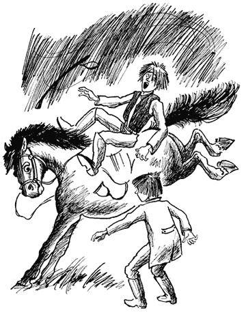 Иллюстрация к книге — Черный красавчик [i_004.jpg]