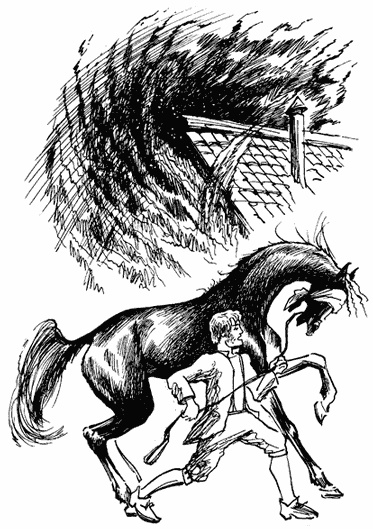 Иллюстрация к книге — Черный красавчик [i_005.jpg]