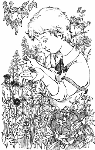 Иллюстрация к книге — Чудесное лето [i_009.jpg]