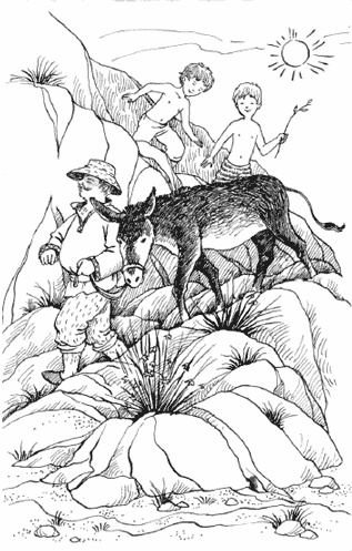 Иллюстрация к книге — Чудесное лето [i_011.jpg]