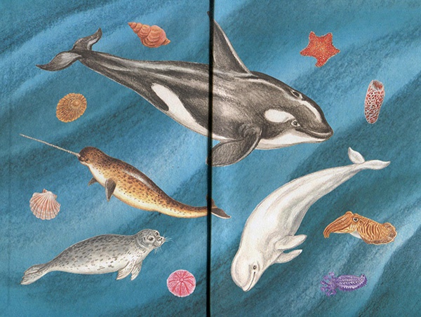 Иллюстрация к книге — Приключения маленькой трески [i_001.jpg]