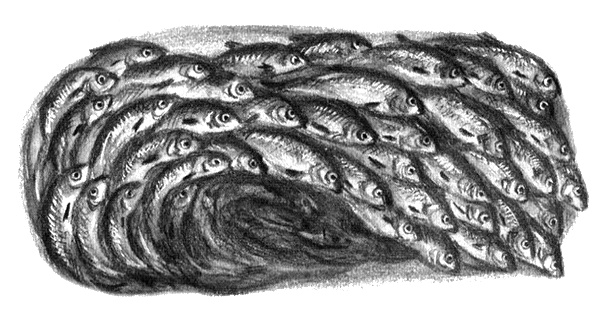 Иллюстрация к книге — Приключения маленькой трески [i_032.jpg]