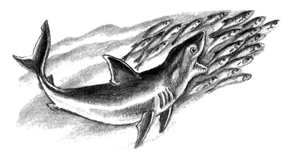 Иллюстрация к книге — Приключения маленькой трески [i_033.jpg]