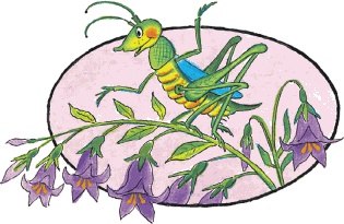 Иллюстрация к книге — Сказки о животных [i_006.jpg]